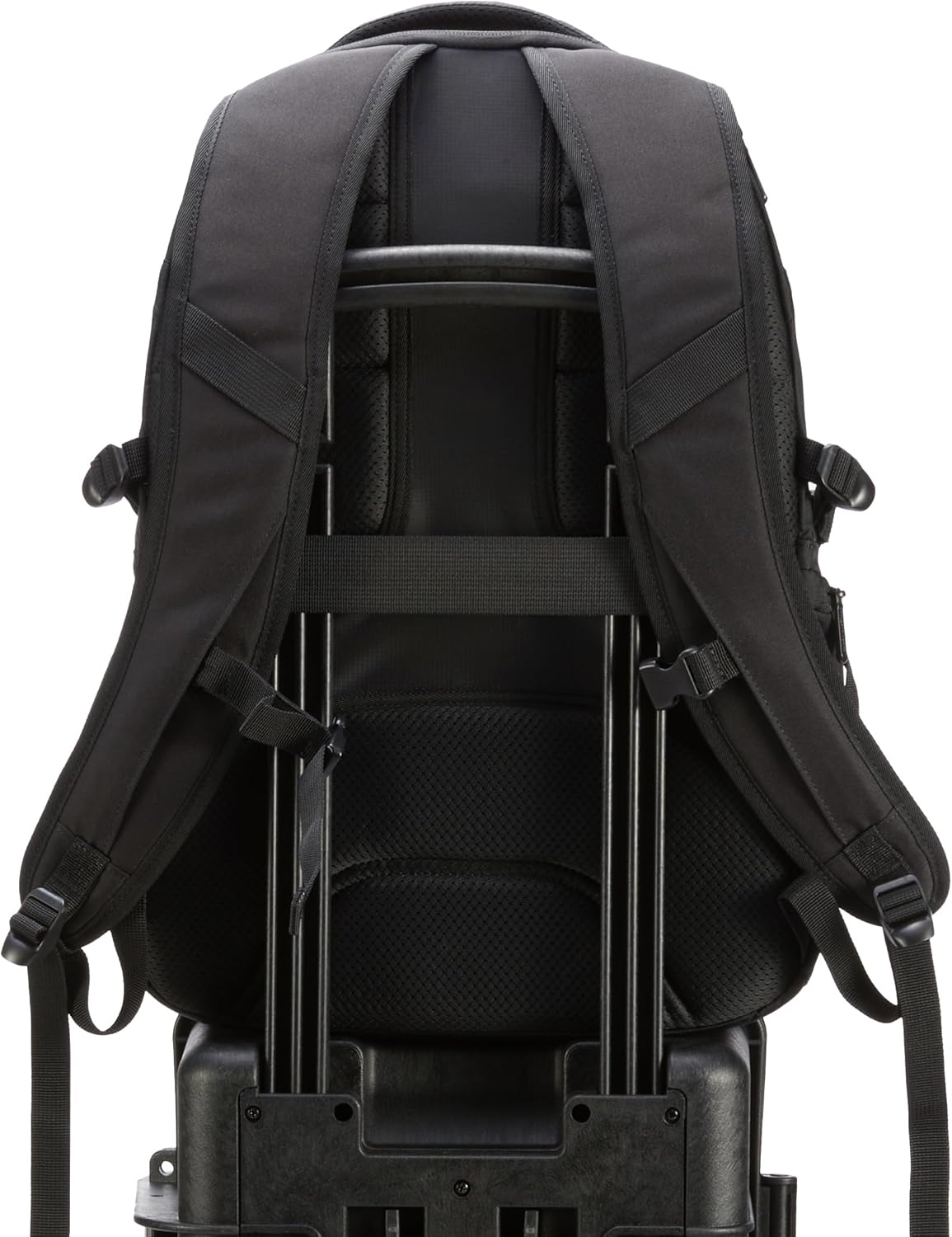 Basics Travel Laptop Backpack with Multiple Pockets and Compartments for 17 in / 43.1 cm Laptop, Water Resistant, Spacious with Padded Shoulder Straps, Black